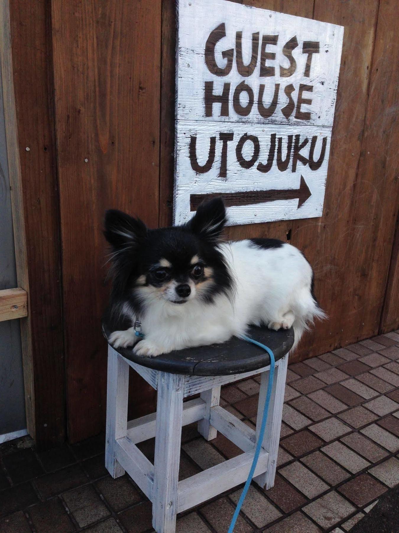Goto Guest House Utojuku מראה חיצוני תמונה